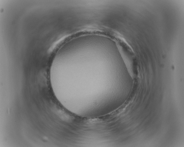 X0000074291304200609151907