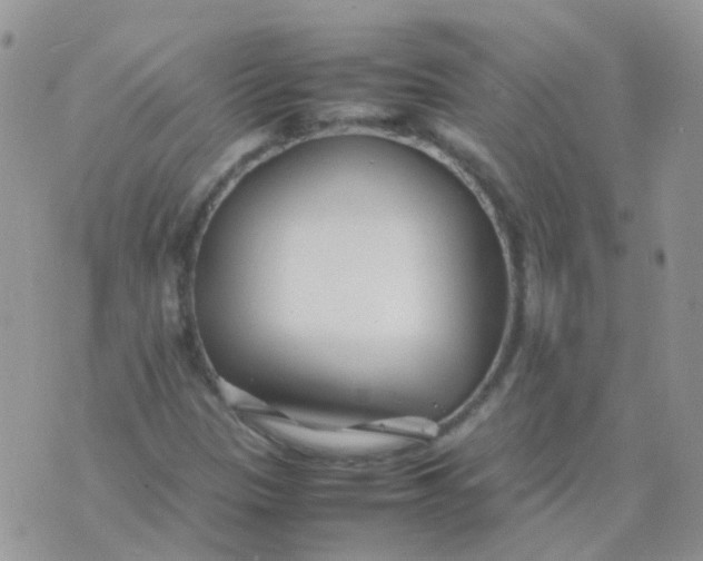 X0000074291305200609151907