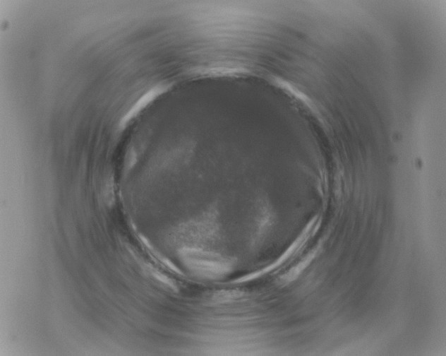 X0000074291306200609151907