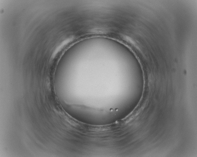 X0000074291307200609151907