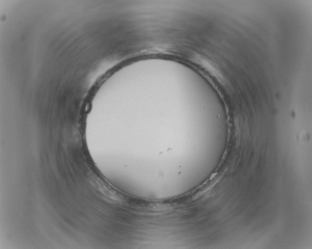 X0000074291308200609151907