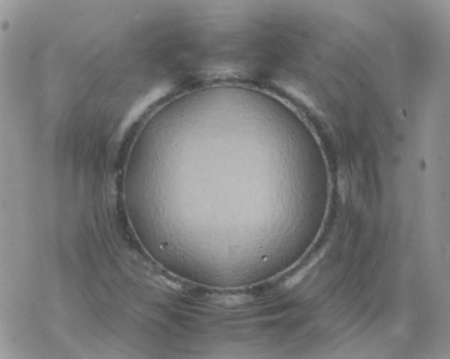 X0000074291309200609151907