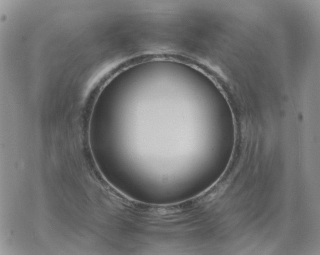 X0000074291311200609151907