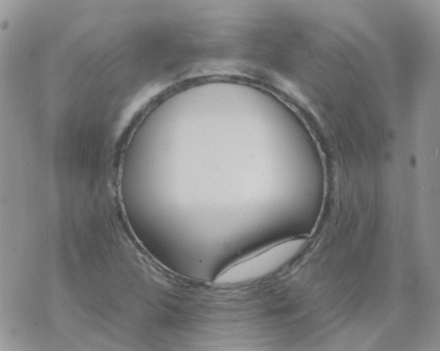 X0000074291312200609151907