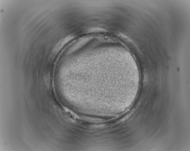 X0000074291313200609151907