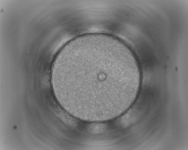 X0000074291314200609151907