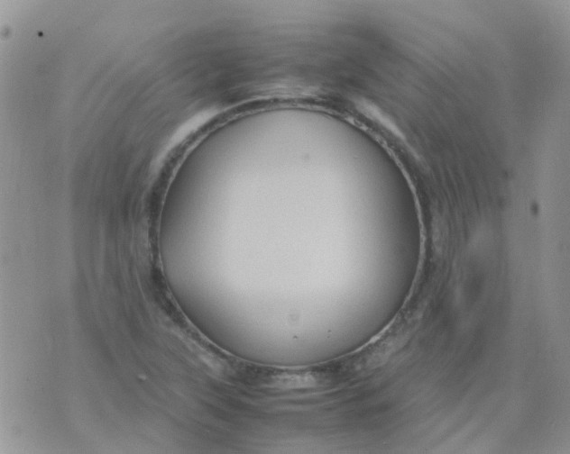 X0000074291315200609151907