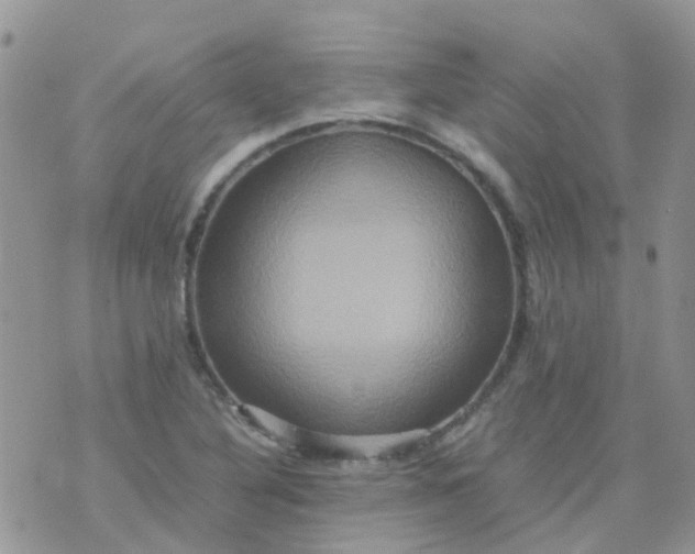 X0000074291316200609151907