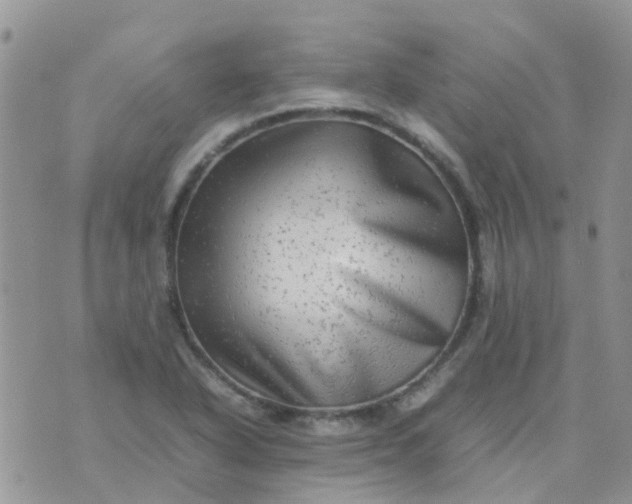 X0000074291318200609151907