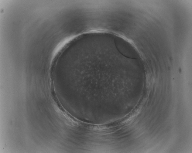 X0000074291319200609151907