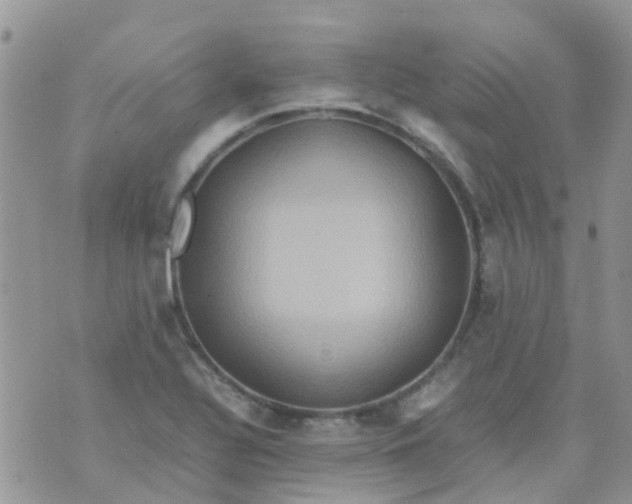 X0000074291320200609151907