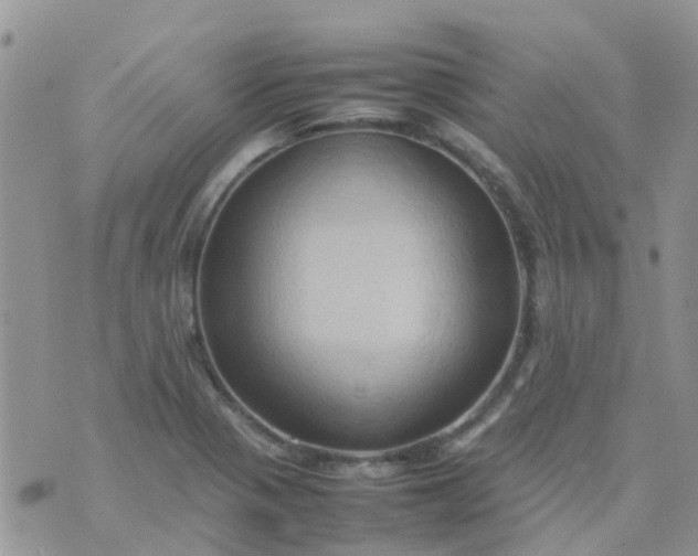 X0000074291321200609151907