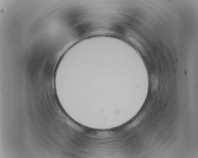 X0000074291322200609151907