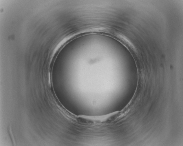 X0000074291324200609151907