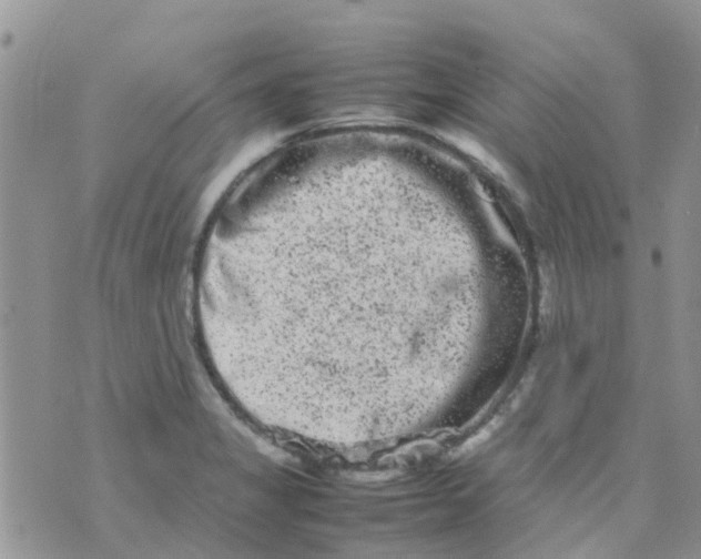 X0000074291325200609151907