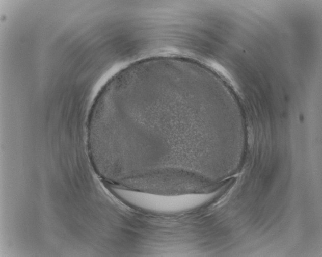 X0000074291326200609151907