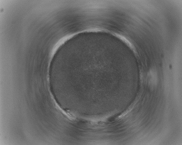 X0000074291327200609151907