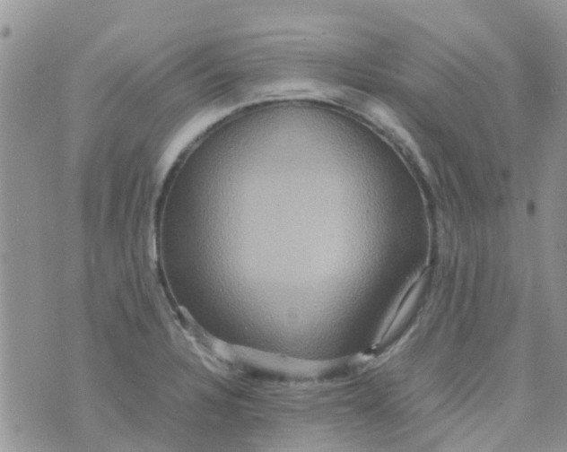 X0000074291328200609151907