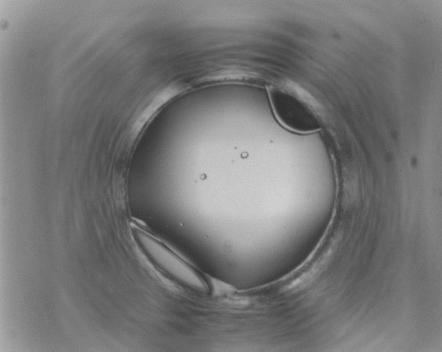 X0000074291329200609151907