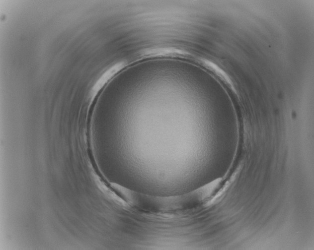 X0000074291330200609151907