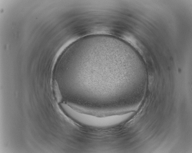 X0000074291331200609151907