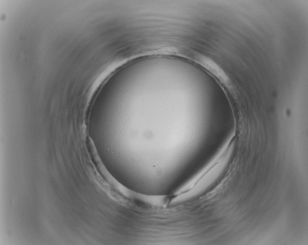 X0000074291332200609151907