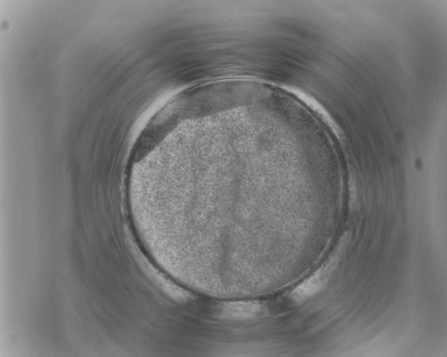 X0000074291333200609151907