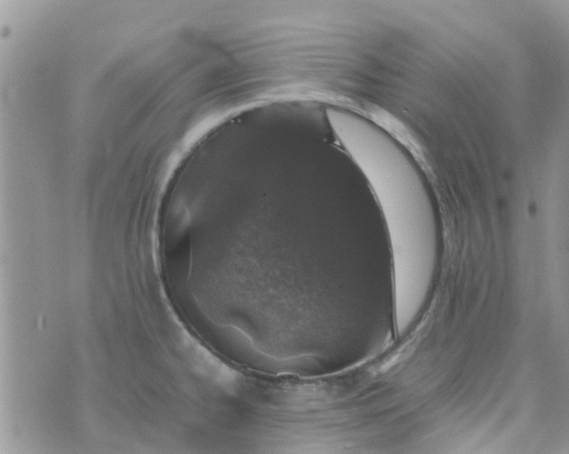 X0000074291334200609151907