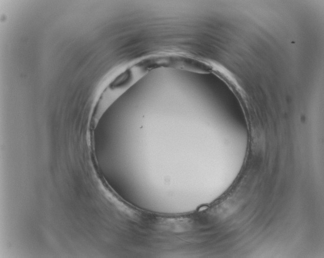 X0000074291335200609151907