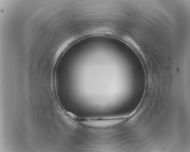 X0000074291336200609151907