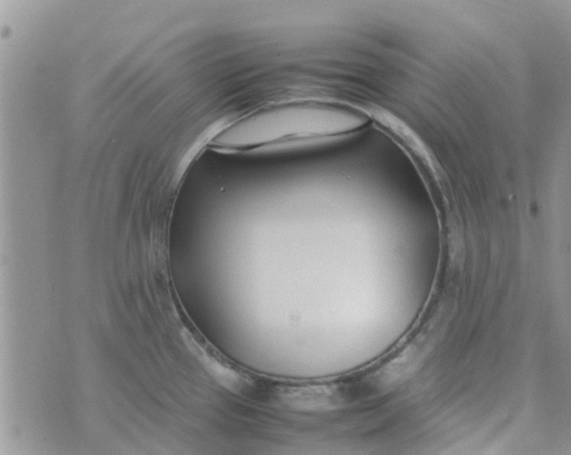 X0000074291337200609151907