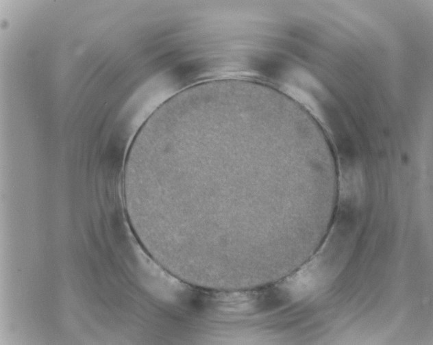 X0000074291338200609151907