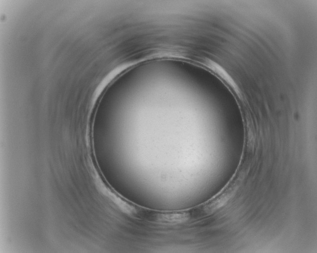 X0000074291339200609151907