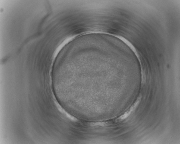 X0000074291341200609151907