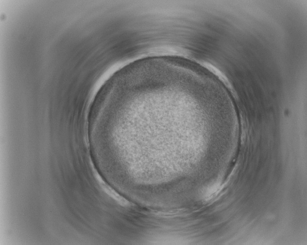 X0000074291342200609151907