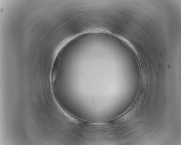 X0000074291343200609151907