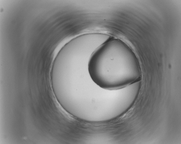 X0000074291344200609151907