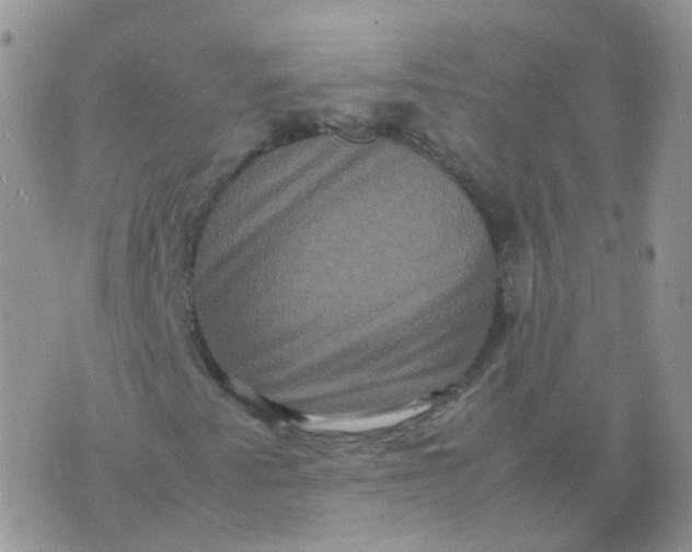 X0000074291345200609151906