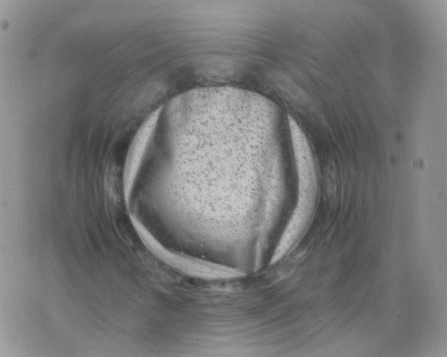 X0000074291346200609151906