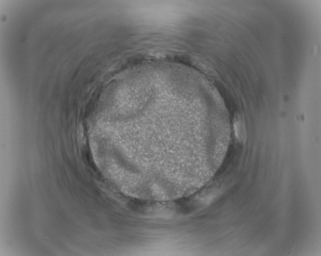 X0000074291347200609151906