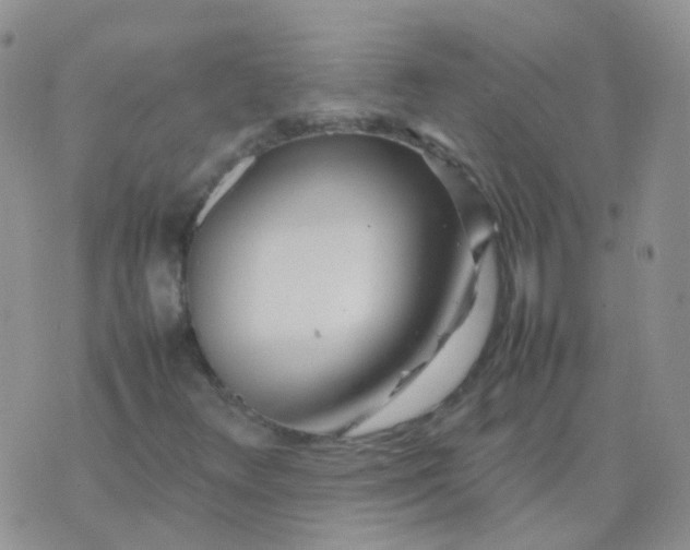 X0000074291348200609151906