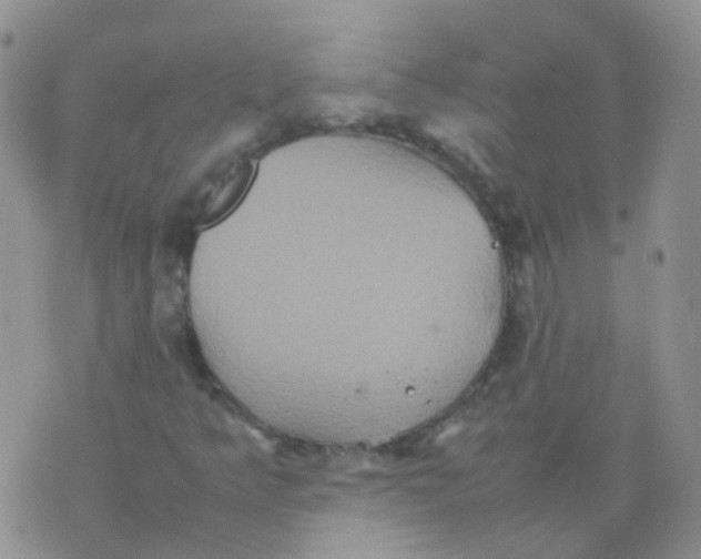 X0000074291349200609151906