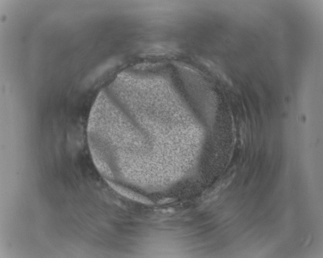 X0000074291350200609151906