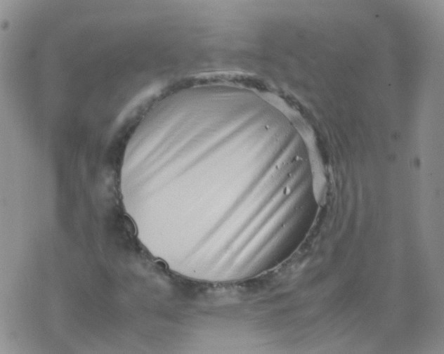 X0000074291351200609151906