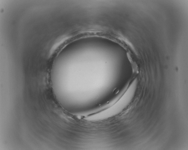 X0000074291352200609151906