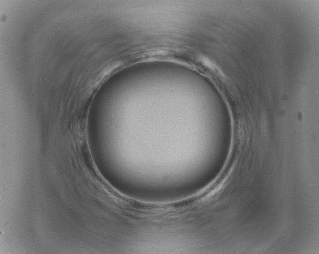 X0000074291353200609151906