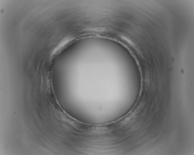 X0000074291354200609151906