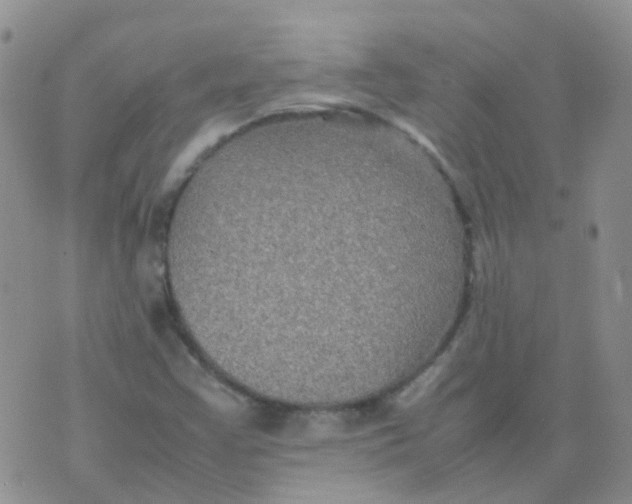 X0000074291355200609151906