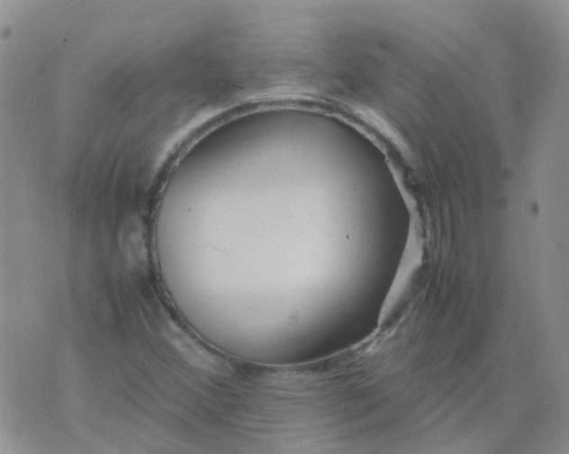 X0000074291356200609151906