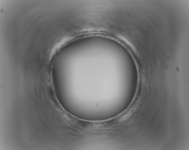 X0000074291357200609151906